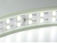 cinta de la tira 220V 240V 110V 230V los 6W/M Waterproof LED de la luz de la CA LED de 1500lm SMD5050